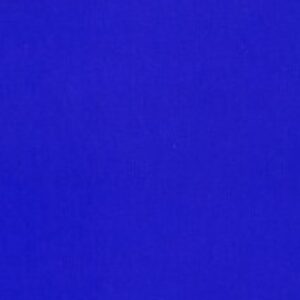 Group logo of Changemakers - Team BLUE (Online Conference)